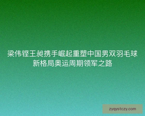 梁伟铿王昶携手崛起重塑中国男双羽毛球新格局奥运周期领军之路