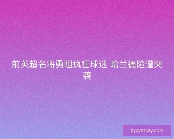 前英超名将勇阻疯狂球迷 哈兰德险遭突袭